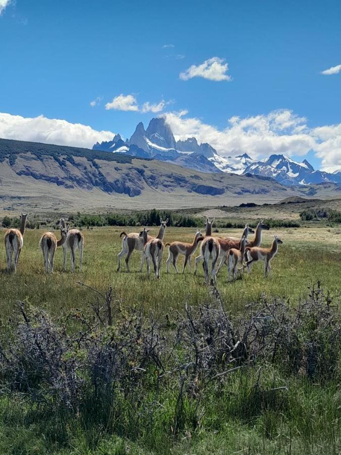 Vera Apart El Chaltén Eksteriør billede